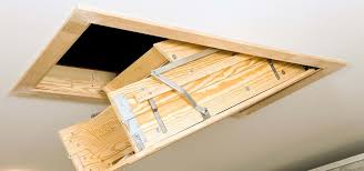 Of course, they are not cheap, but still they cost less than the repair of damage, caused by pests. Attic Bugs Insects Pest Prevention Tips For Attic Bugs