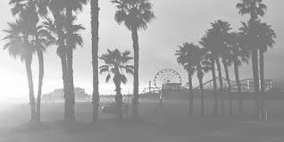 Tumblr Pictures For Twitter Header Google Search Twitter Backgrounds Facebook Header Twitter Header