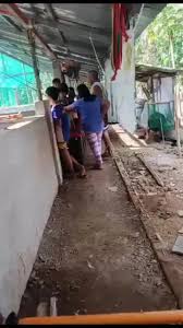 My mini goat farm😄