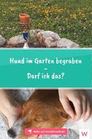 pin auf aus dem leben
