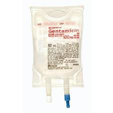 Image result for Gentamicin