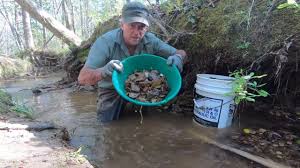 Panning And Sluicing For Gold In A Small Stream Youtube