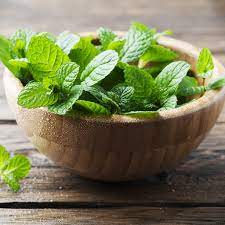 Peppermint and mint, both of them are often referred to as pudina in hindi, which has often made many of us wonder the difference between the two. How To Buy And Store Mint Epicurious