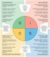 94 Best Disc Images Disc Assessment Personality