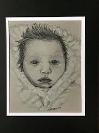 Nicole Sheffer, Artist