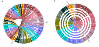 Image result for Psophocarpus scandens
