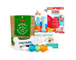 Best Puppy Toys For Teething Soothing Gums And Aggressive