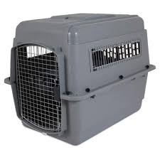 Want your dog's brain to get some exercise but you are too busy or tired for a training session tonight? How To Crate Train Your Dog In Nine Easy Steps American Kennel Club