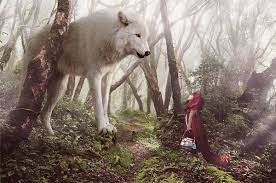 The Giant Wolf On Behance Red Riding Hood Wolf Fantasy Wolf Snow Wolf