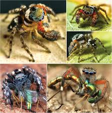 Maybe you would like to learn more about one of these? Eurekalert Science News Releases