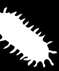 Alpha blondy hanyalah nama panggung. Https Www Tdx Cat Bitstream Handle 10803 668269 Tesi Pdf Sequence 1 Isallowed Y