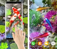There are so many customization options available for android mars in hd gyro 3d free. 3d Koi Fish Wallpaper Hd 3d Fish Live Wallpapers Apk Download For Android Latest Version 1 3 Com Free Fish Live Wallpaperapp