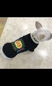 Learn how to use the frenchie bulldog reversible harness system. Gucci Gang Dog Shirt M Size Pet Supplies For Dogs Dog Accessories On Carousell