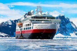 Image result for Commiphora pedunculata