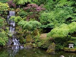 Photographic Print Japanese Gardens Washington Park Portland Oregon Usa 24x18in In 2021 Japanese Garden Washington Park Ponds Backyard