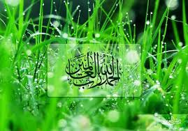 Penulisan kata amin ya rabbal alamin yang benar. Quran Academy
