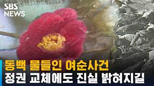 박지원 의원 의상에 달린 브로치에 대해 알아보자 - 에펨코리아