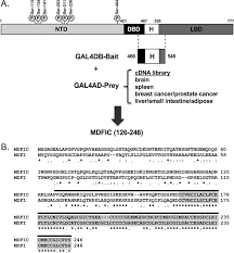 Net profit at johnson electric of hong kong, the automotive products supplier controlled by billionaire chairman patrick wang's family, was unchanged in the six months to september as rising investment increased expenses, the company. Cross Talk Between The Glucocorticoid Receptor And Myod Family Inhibitor Domain Containing Protein Provides A New Mechanism For Generating Tissue Specific Responses To Glucocorticoids Journal Of Biological Chemistry