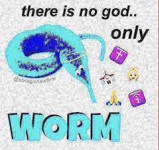 There Is No God Only Worm Worms Funny Babies Funny Video Memes