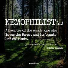 Kata nemophilist merupakan bahasa inggris. Tywkiwdbi Tai Wiki Widbee I Am A Nemophilist