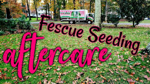 Once the course starts watering the seed, it usually takes. Pin On Lawn Care By Pplm