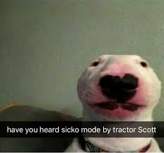 Pin By L A U R E N On Yggdrasil Shart Very Cute Dogs Funny Dogs Cute Dogs