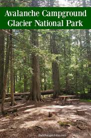 The national park service is an agency of the federal government of the united states that manages all national parks, many national monumen. Avalanche Campground Glacier National Park Video Park Ranger John