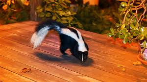 So, while candles are burning, the odds are minimal that they would trigger your smoke alarm. How To Keep Skunks Out Of Your Yard Realtor Com
