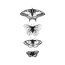 Butterflies Detail White Butterfly Tattoo Butterfly Tattoo Geometric Tattoo