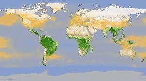 Earth From Space 15 Amazing Things In 15 Years Earth From Space Nasa Earth