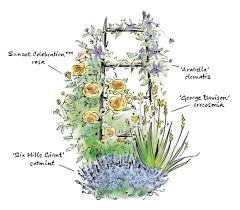 But don't leave the perennial bed yet! Regional Picks Plant This With That Northwest Finegardening