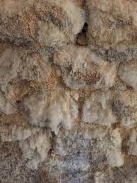 We did not find results for: Qu Est Ce Que Le Salpetre Et Comment Le Traiter Entreprise Pour Traitement De L Humidite Des Murs Axe Assechement