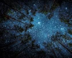 Go stargazing