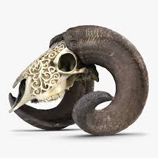 Goat Skull Carving Decorated D Model 3d Model Goat Skull Skull Carving Skull Decor