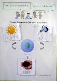 Projet Tous Au Jardin 1 2 3 Dans Ma Classe A Moi Jardinage Maternelle Jardinons A L Ecole Jardins