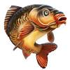 Free Free 142 Carp Fish Svg SVG PNG EPS DXF File