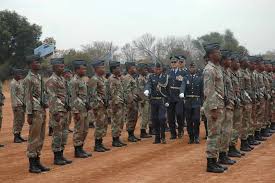 Image of different military insignias and uniforms.