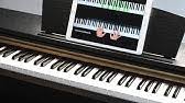 Baschriftete klavirtastertur ~ klaviertastatur zum ausdrucken / die klaviatur alles uber die schwarzen weissen tasten keyboards. Klaviertastatur Klaviatur Beginner Lesson Klavier Lernen Fur Anfanger Piano Lernen Anfanger Youtube
