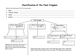 56 clean flow chart of plant kingdom