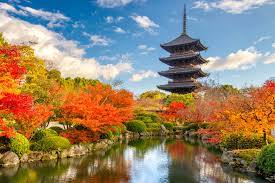Ten days' worth of rice in my bag; Japan Kreuzfahrten Entdecken Sie Die Highlights Von Japan Royal Caribbean Cruises