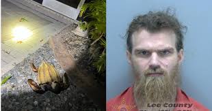 Man accused of burglary in Cape Coral; steals turtle decoration