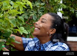 Woman in bush woman in bush hi-res stock photography and images
