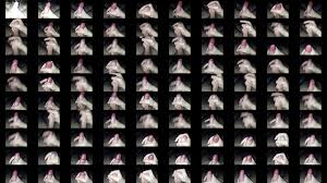 Novinho com fimose batendo punheta - PORNORAMA.COM