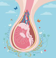 8 Ball-Busting Testicle Myths Men Wish Women Would Stop Believing | by  Carlyn Beccia | Sexography | Medium