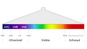 Tanning is the body's natural shield against uv rays. Pure Protection Against Viruses And Bacteria Signify Company Website