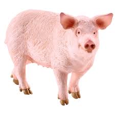 Iata o reteta de friptura de porc mistret de la un maestru in specialitati vanatoresti! Figurina Schleich Porc Emag Ro