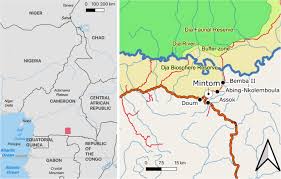 Image result for Trachyphrynium braunianum