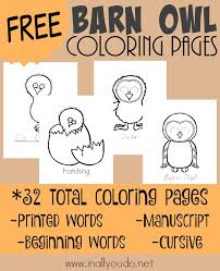 You and your child can color in the owl as you read a fun fact. Barn Owl Coloring Pages In All You Do