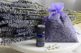 Organic Lavender Sachet With Organic Lavender Essential Oil Organic Lavender Essential Oil Lavender Essential Oil Uses Organic Lavender