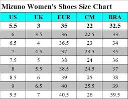 mizuno wave rider 22 d wide womens running shoes